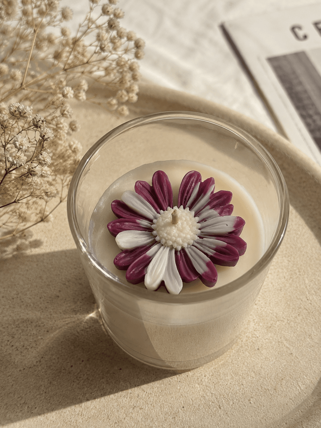 Wild Plum & Jasmine
