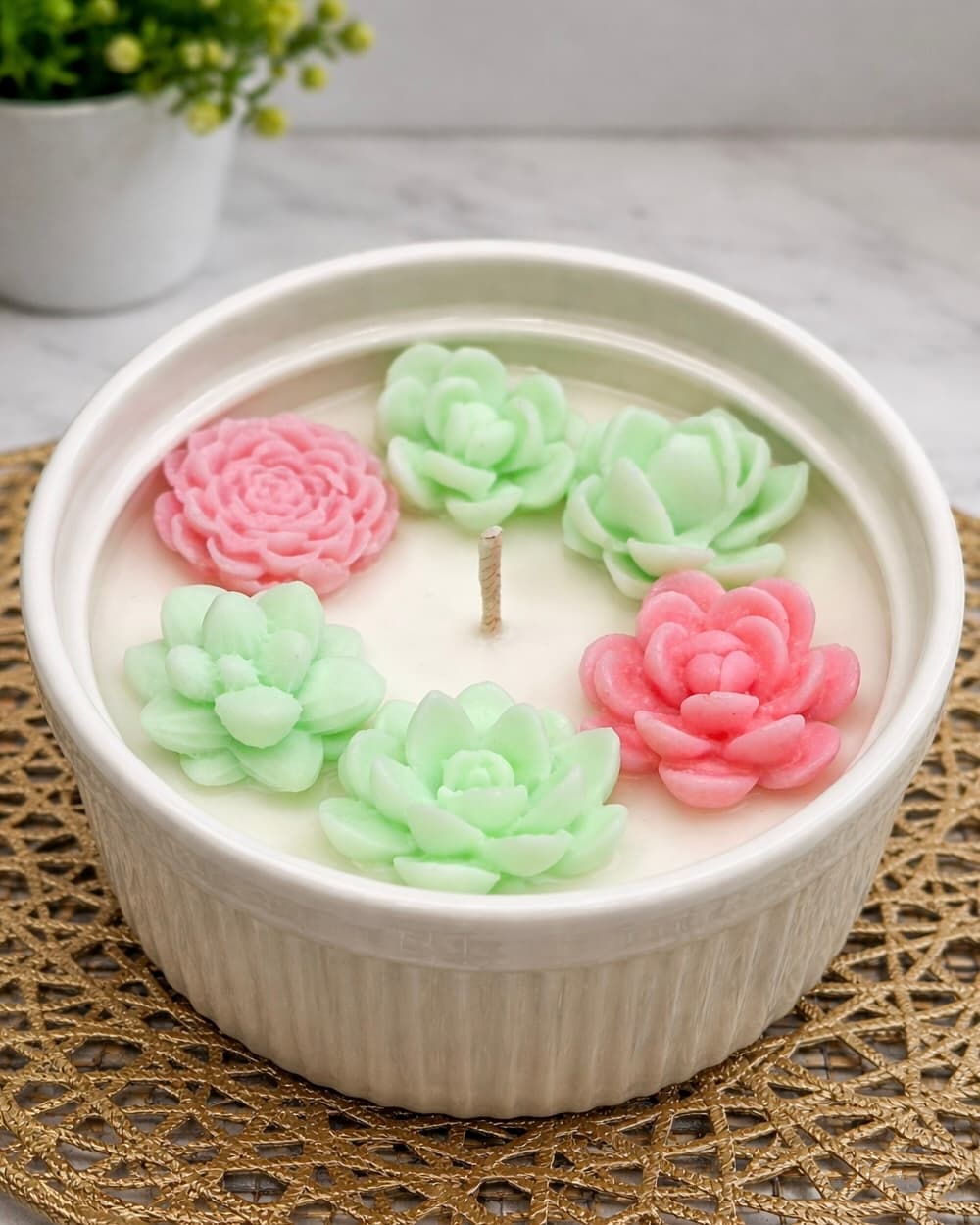 Succulent Candle Bowl